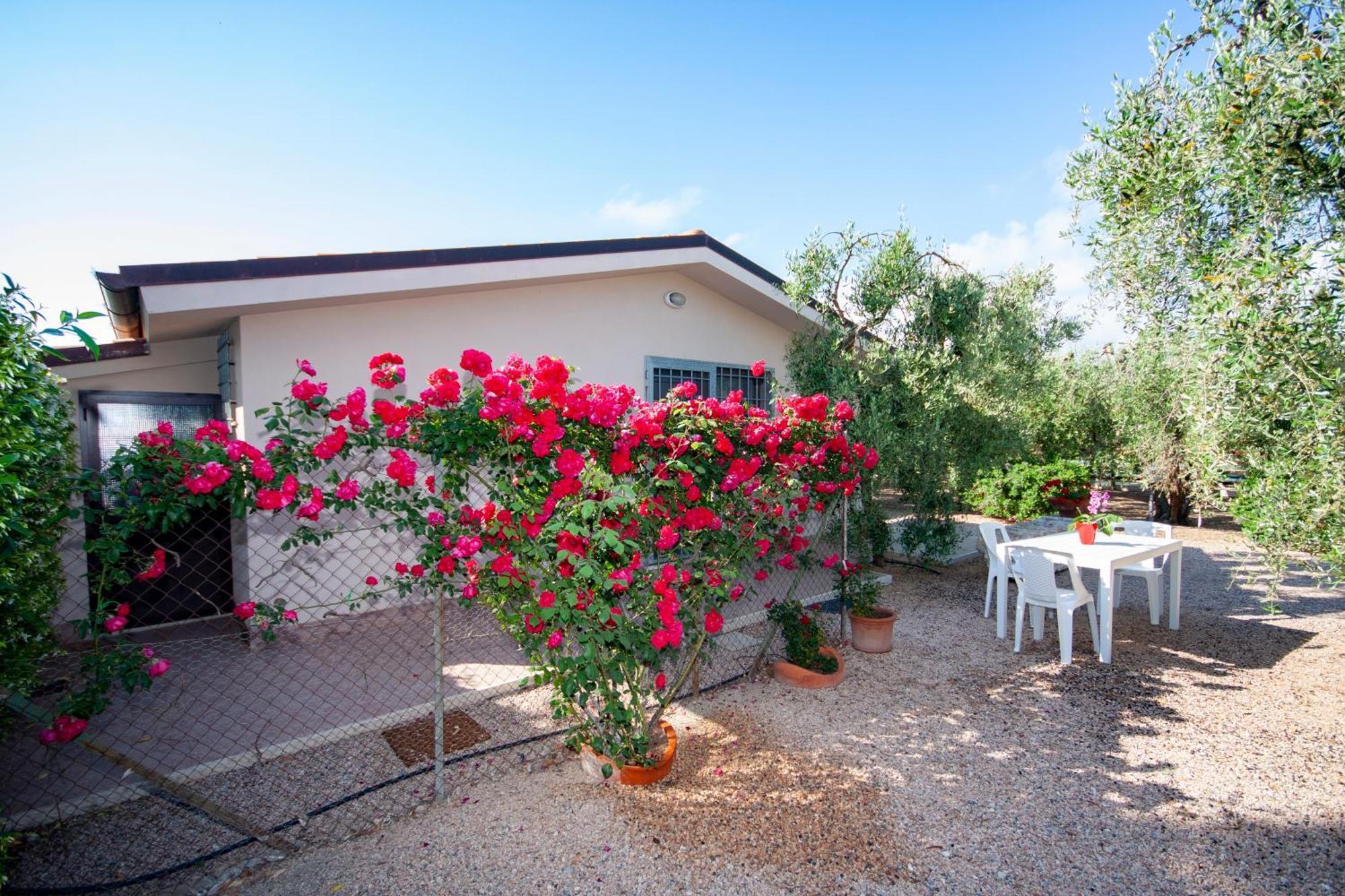 Apartamento Agrimare I Pavoni Montalto di Castro Exterior foto